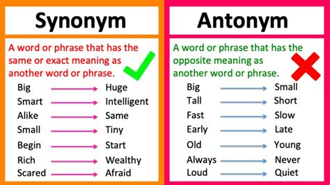 definition and antonym